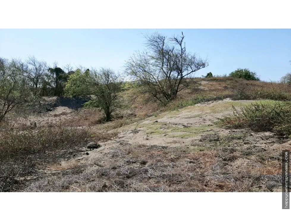 Venta de terreno frente al mar en pocrí, cerca de pedasí.