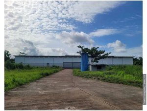 140445 - Arraiján - warehouses - altos del tecal