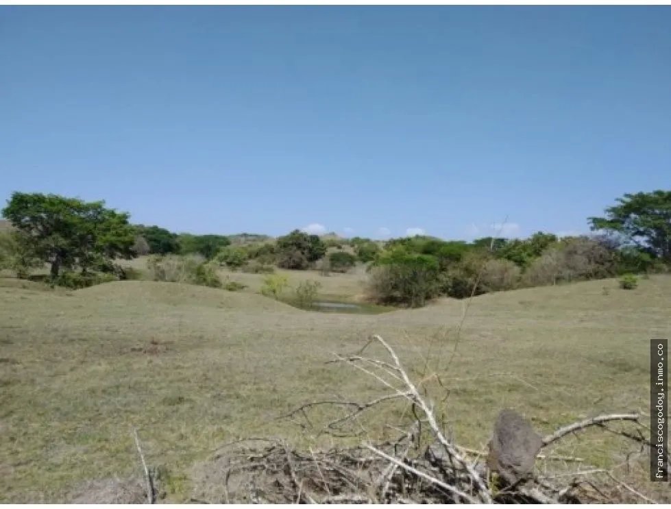 Venta de finca en pesé, herrera