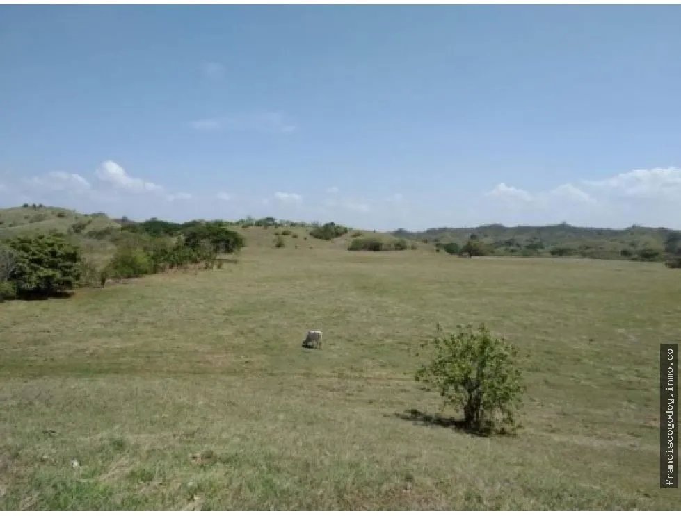 Venta de finca en pesé, herrera