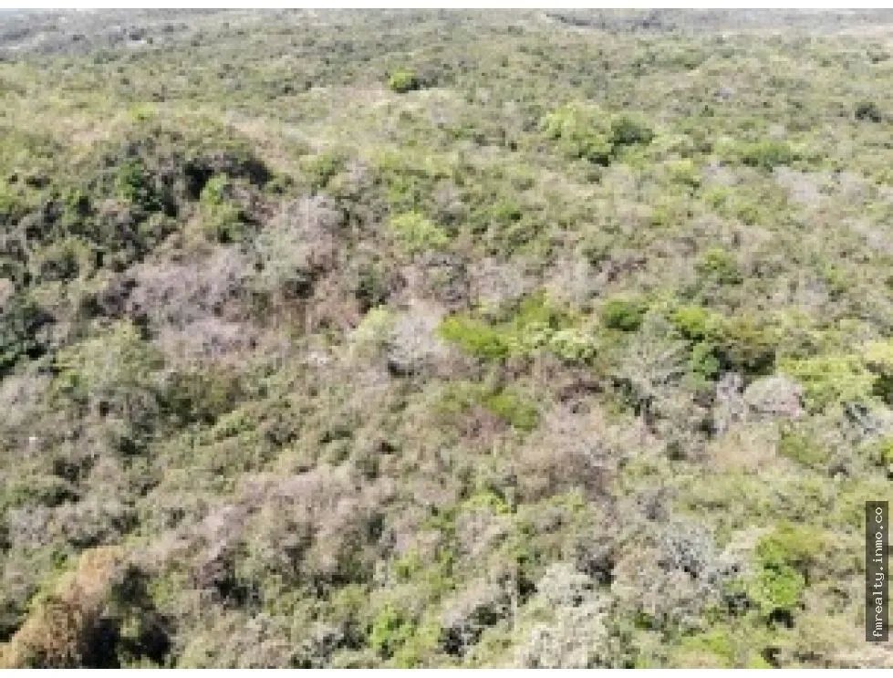 Terreno en venta vía al valle de antón, san carlos