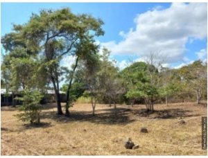 141180 - San carlos - lots - casamar