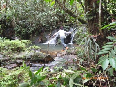 14145 - La Pintada - lotes