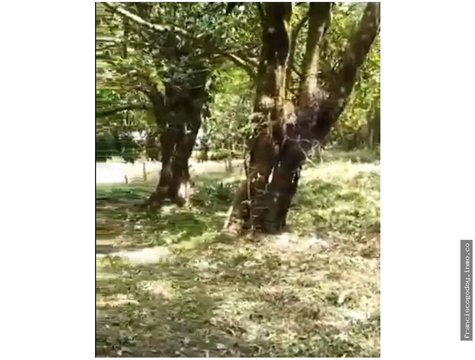 Venta de terreno en el valle de antón