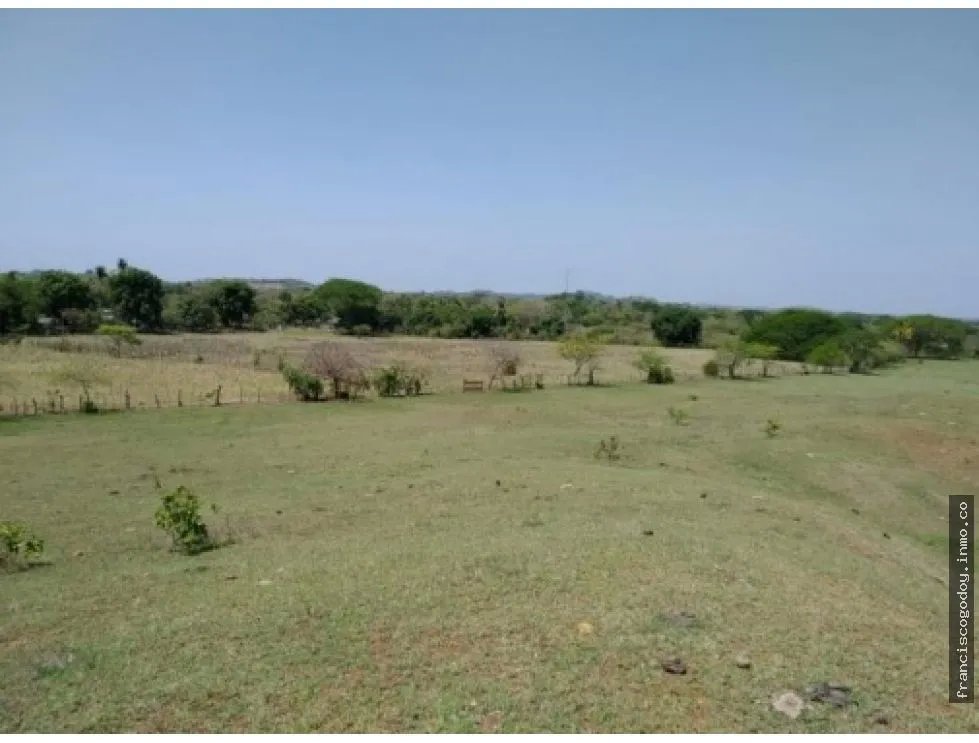 Venta de finca en pesé, herrera