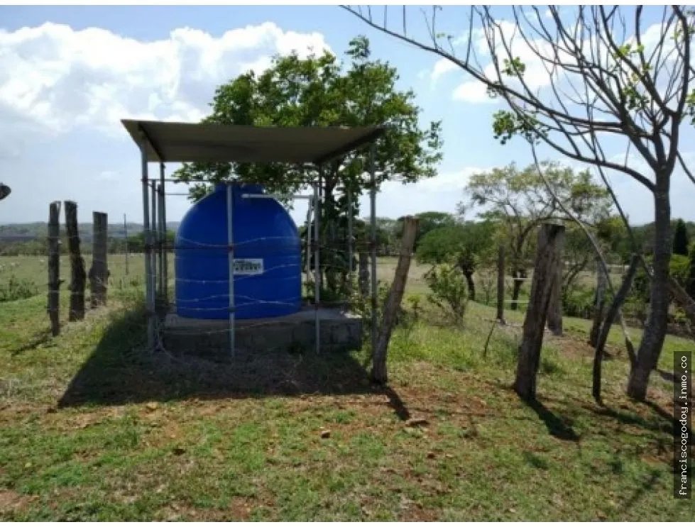 Venta de finca en pesé, herrera