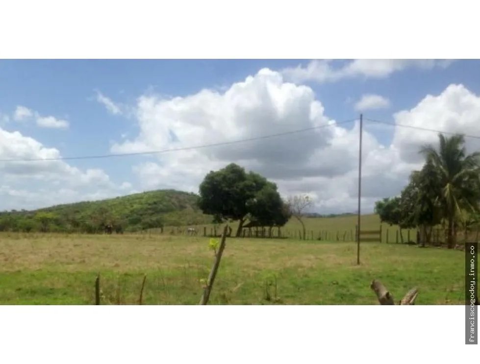 Venta de finca en pesé, herrera