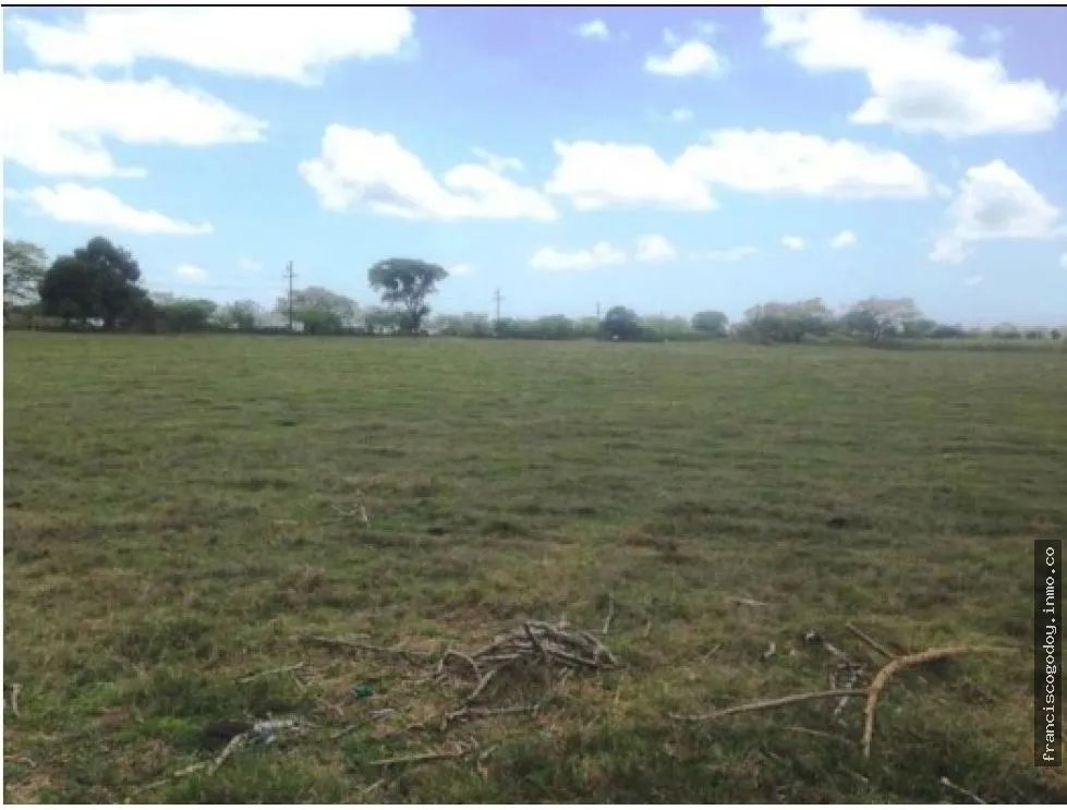 Venta de finca en pesé, herrera