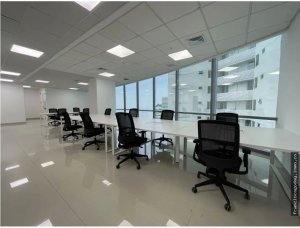 142229 - Costa del este - offices - ph marea