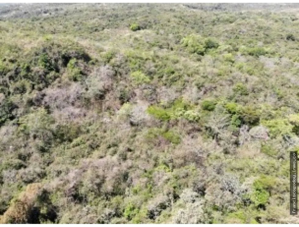 Terreno en venta vía al valle de antón, san carlos