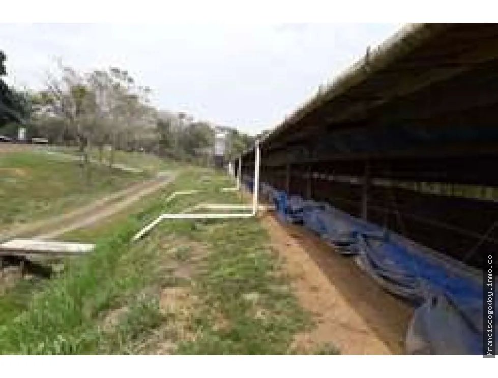 Se vende lote de terreno en colón