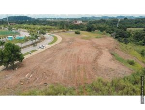 142477 - Pedregal - lots - ph ambar tower