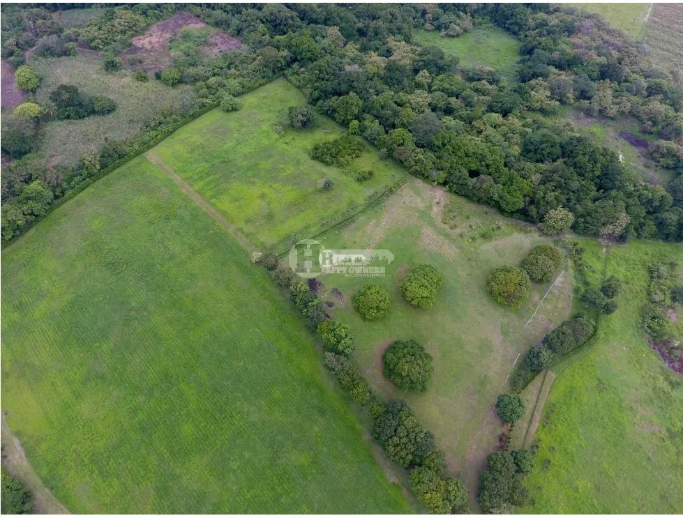 Se vende finca de 5 hectareas en río hato, coclé