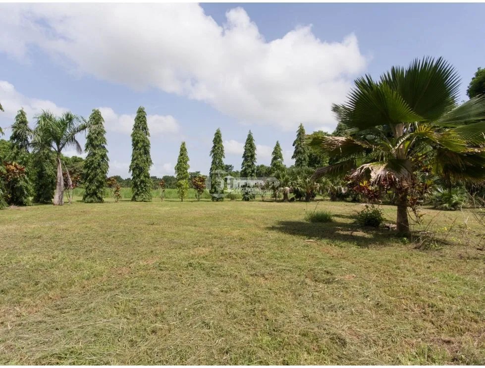 Se vende finca de 5 hectareas en río hato, coclé