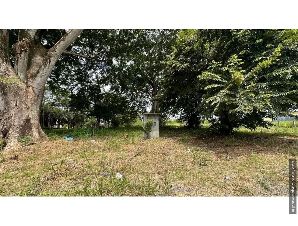 Se vende terreno en david, chiriquí