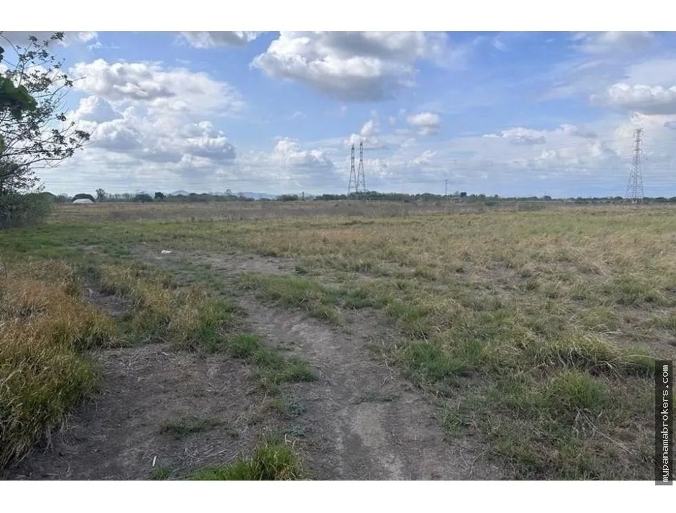 Se vende finca frente a la panamericana en antón, coclé