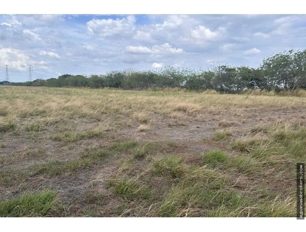 Se vende finca frente a la panamericana en antón, coclé