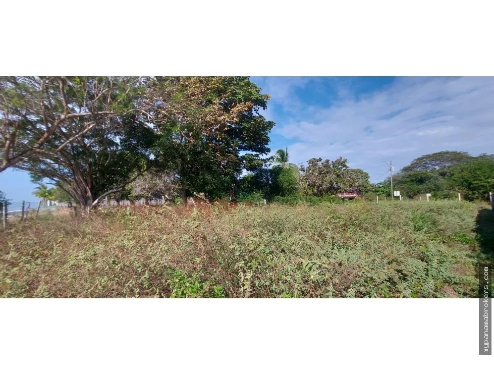 Se venden lotes frente al mar en juan hombron, río hato