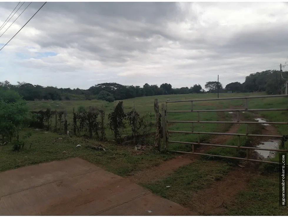 Se vende terreno en chitré