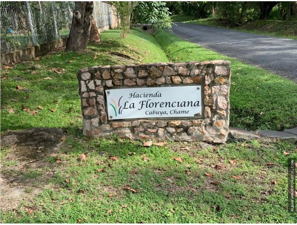 Se vende lote en la florenciana, chame