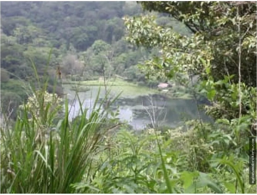 Se venden hectáreas en cerro azul