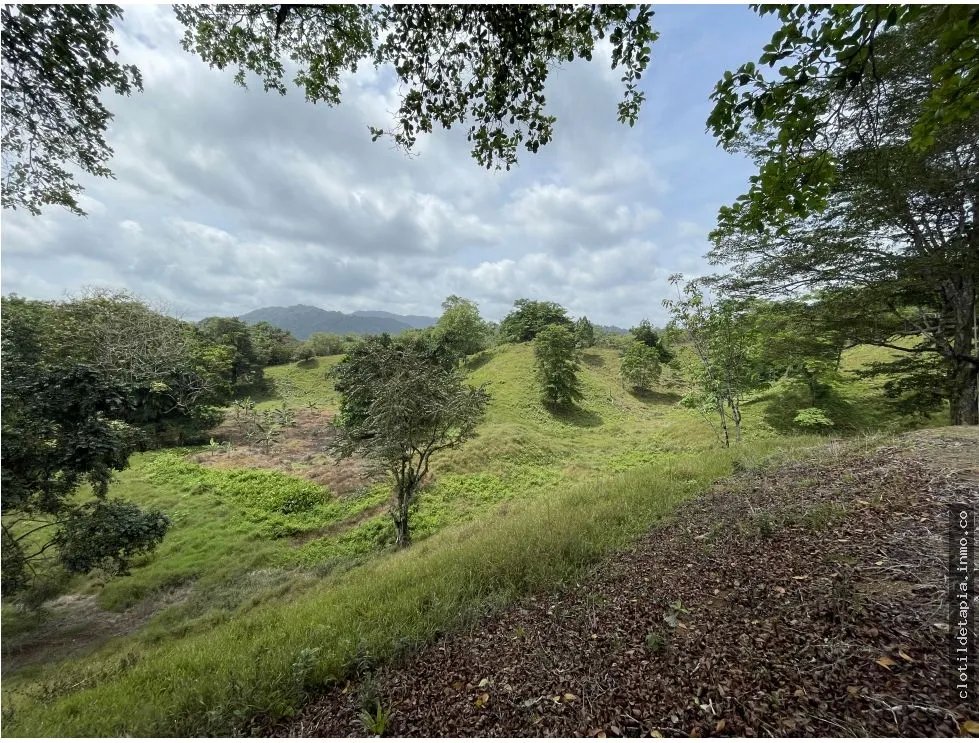 Se vende finca en viento frío, santa isabel