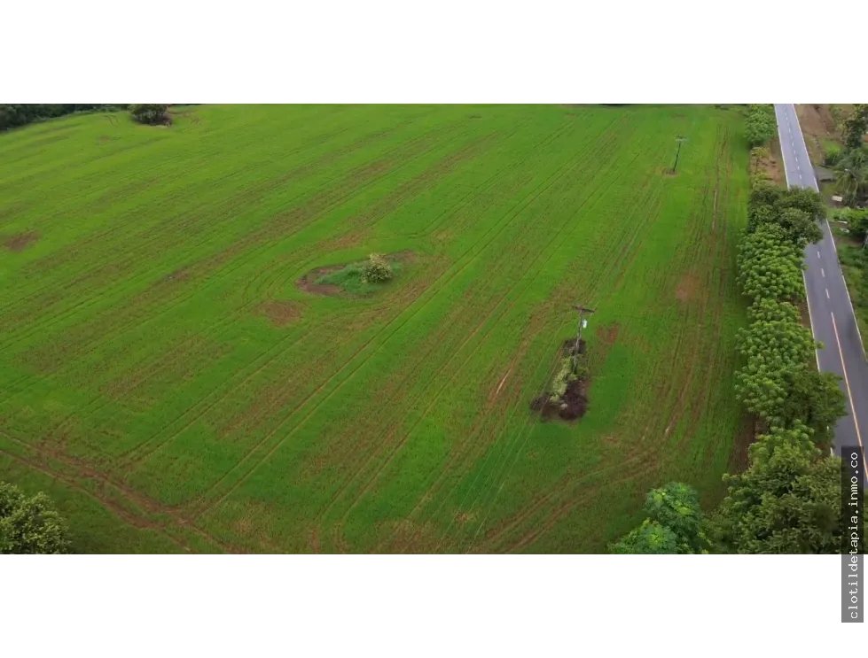 Venta de finca en pedasí, los santos