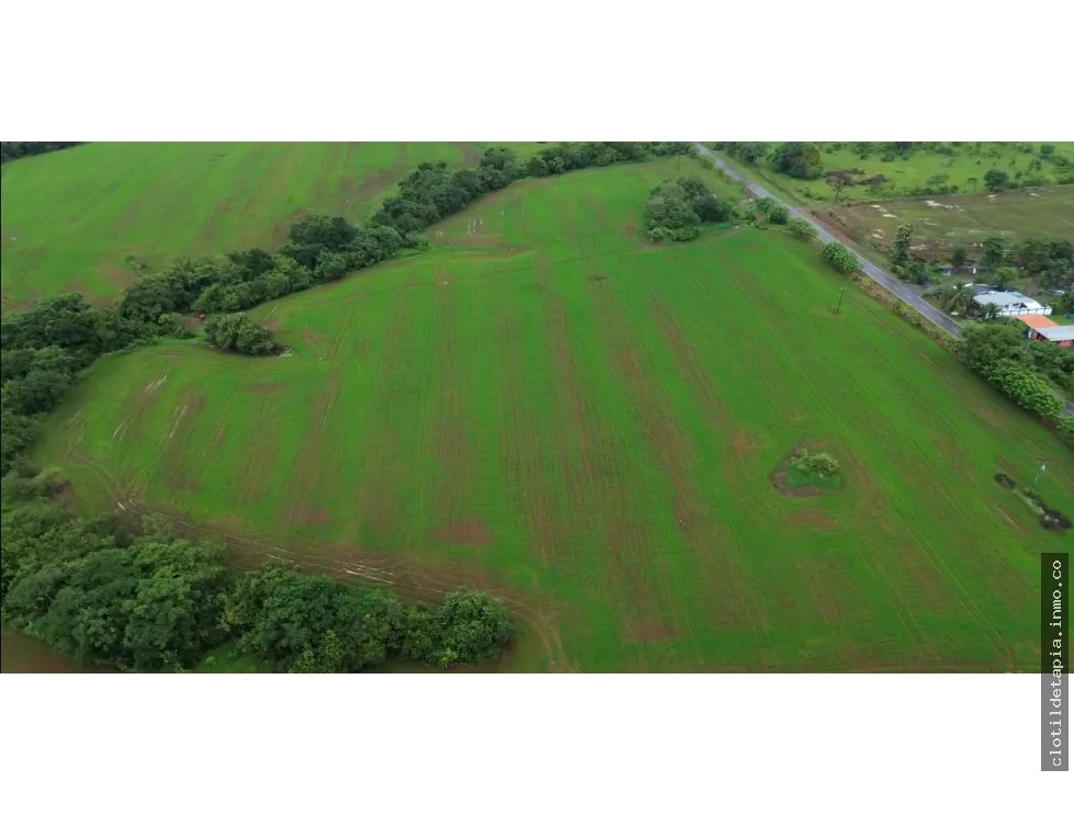 Venta de finca en pedasí, los santos