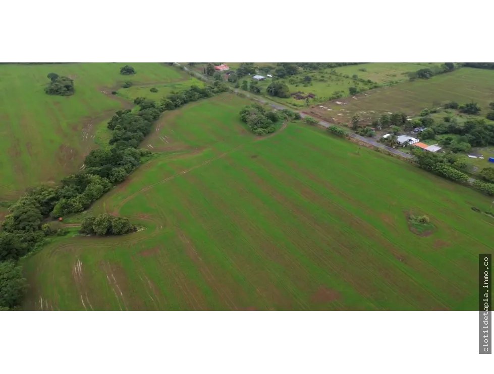 Venta de finca en pedasí, los santos