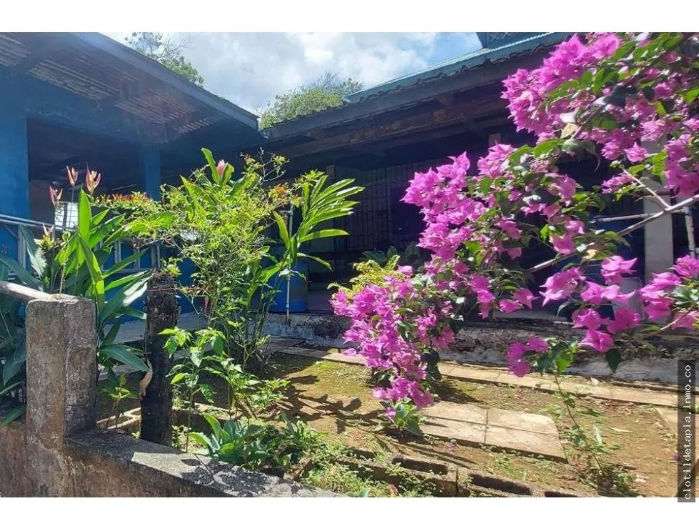 Se vende finca en nueva providencia, colón
