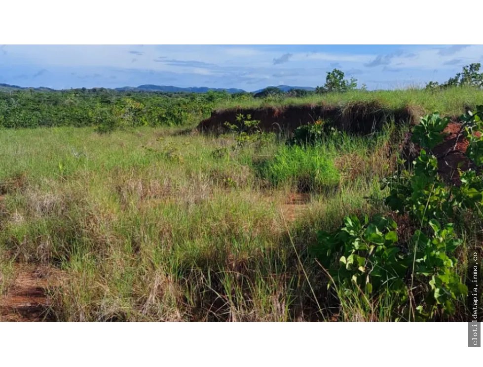 Se venden hectáreas en los pozos antón, coclé
