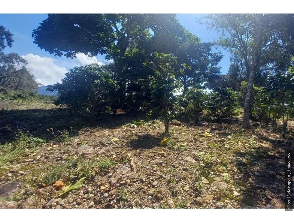 Se vende finca cafetera en alto boquete, chiriquí