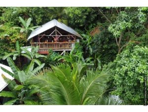 142713 - Bocas del Toro - properties