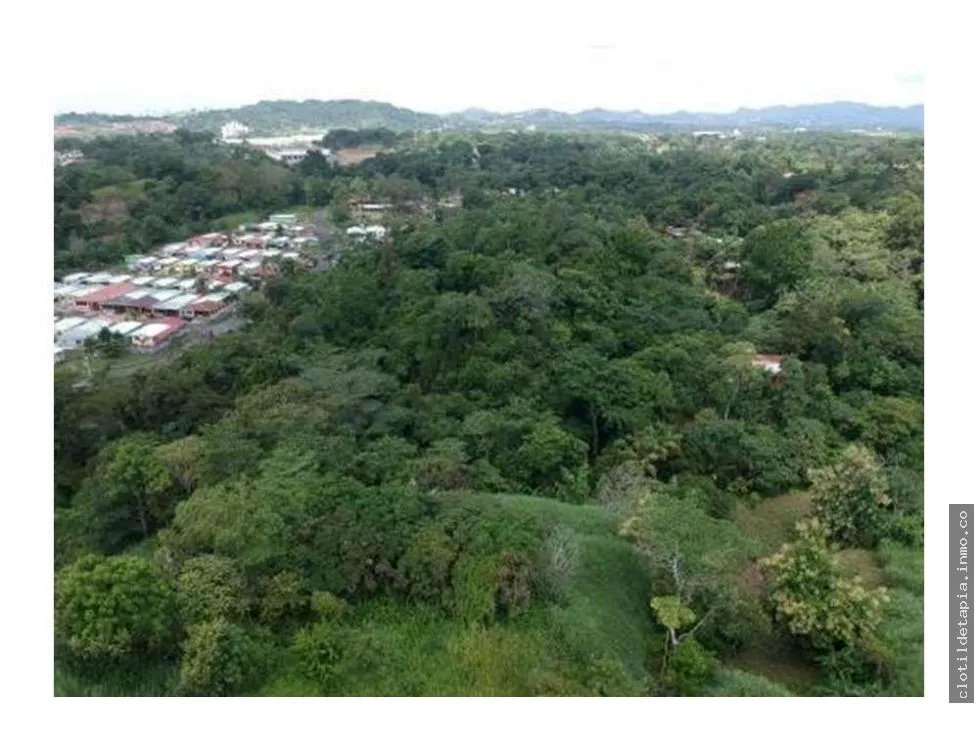 Se vende finca en pedregal, villalobos