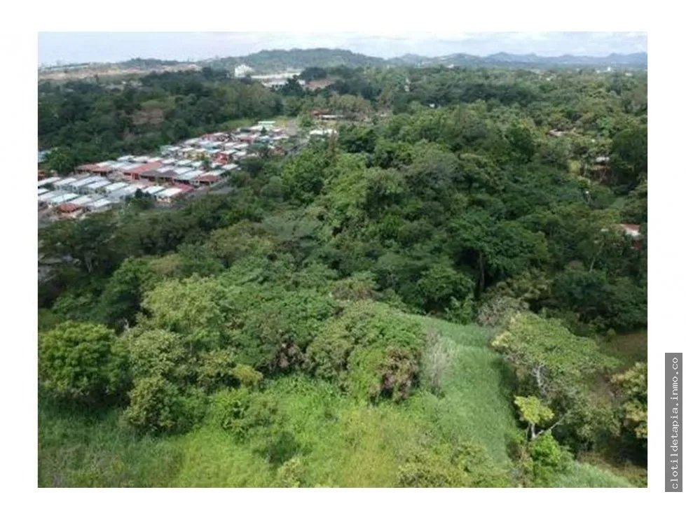 Se vende finca en pedregal, villalobos