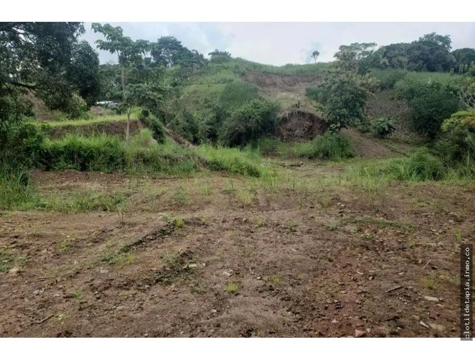 Se vende finca en pedregal, villalobos