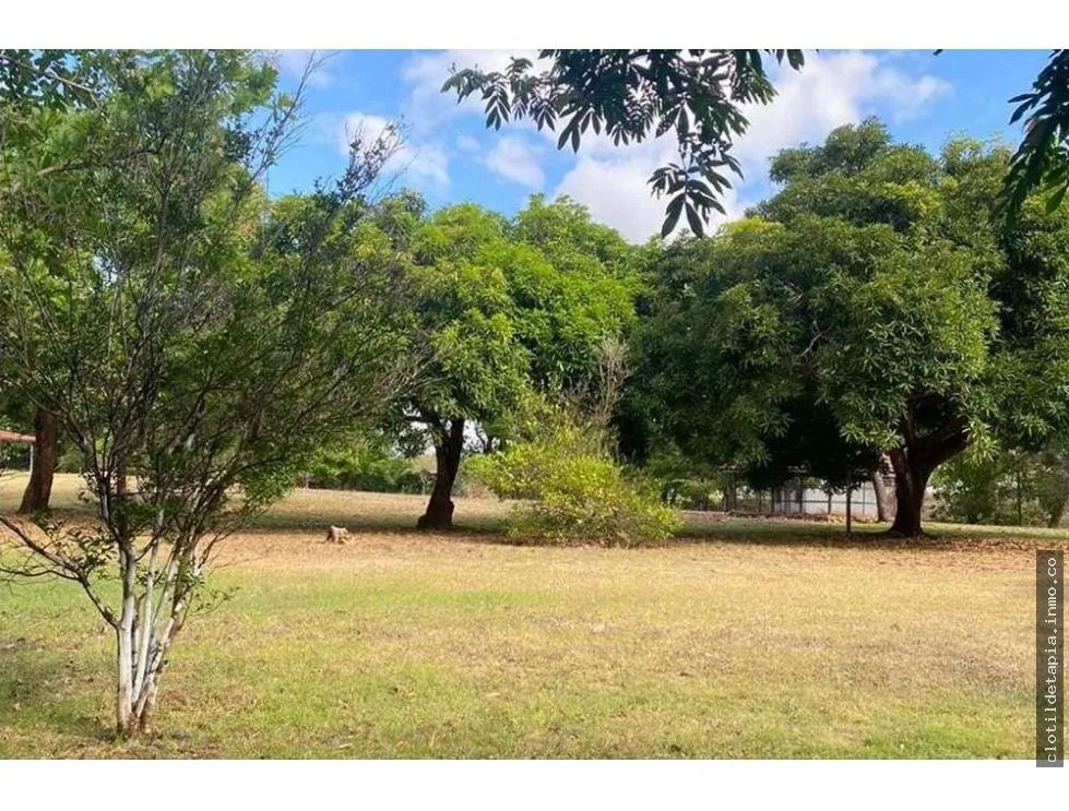 Se vende finca de 12 hectáreas en rodeo viejo, san carlos