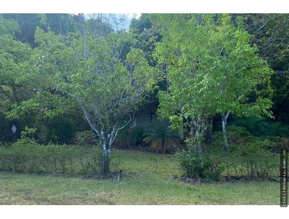Se vende finca de 12 hectáreas en rodeo viejo, san carlos