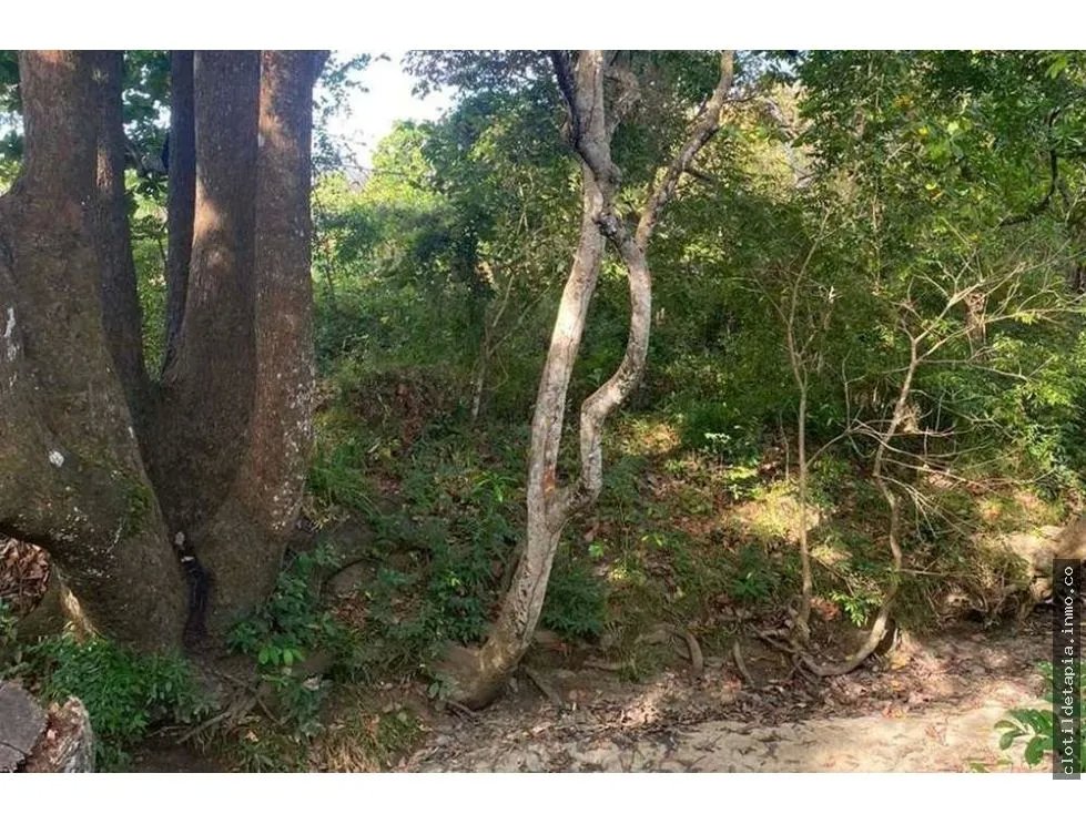 Se vende finca de 12 hectáreas en rodeo viejo, san carlos