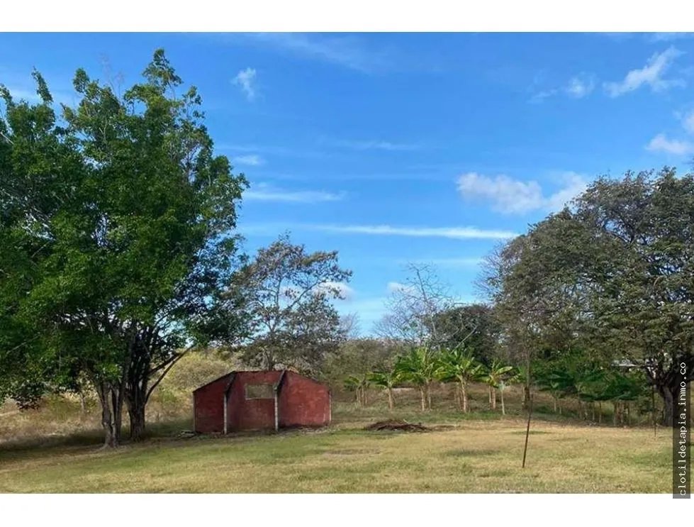 Se vende finca de 12 hectáreas en rodeo viejo, san carlos