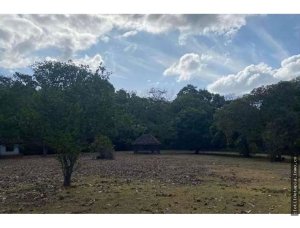 142762 - San carlos - properties - casamar