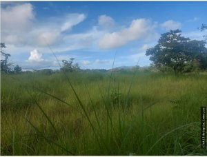 142770 - San carlos - properties - casamar