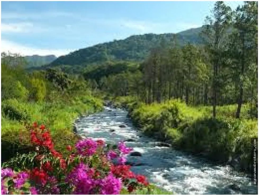 Venta de propiedad amoblada en pino alto, boquete, panamá