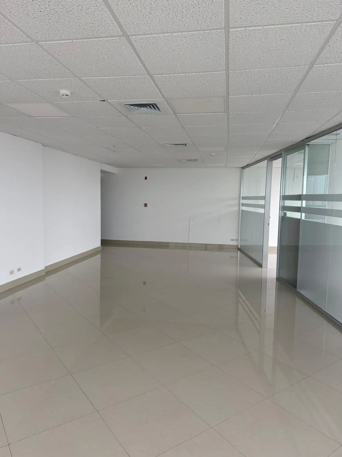 Oficina en alquiler en f&f tower panamá con vista panorámica en calle 50