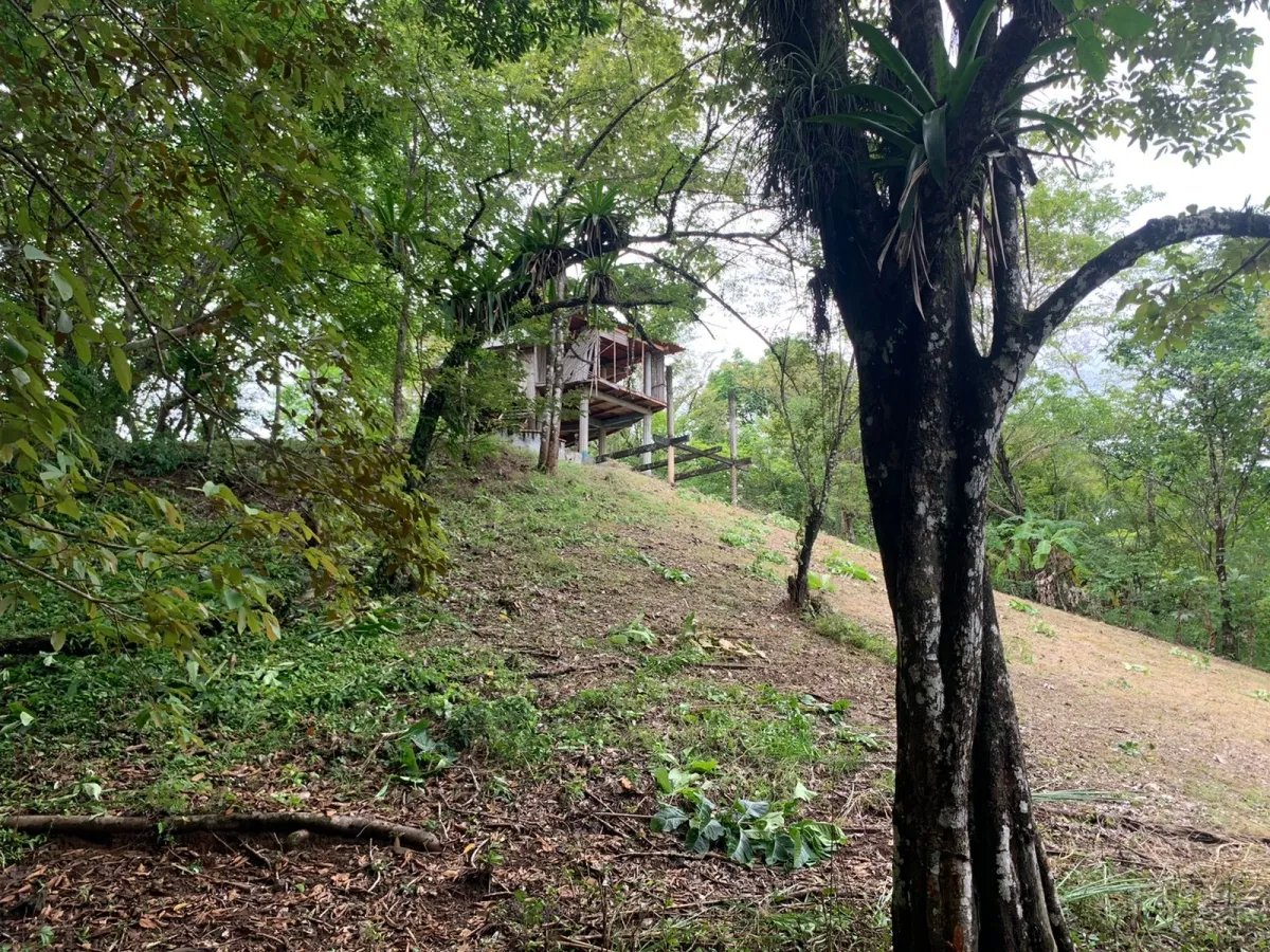 Lote de Casa en Venta en Santa Catalina