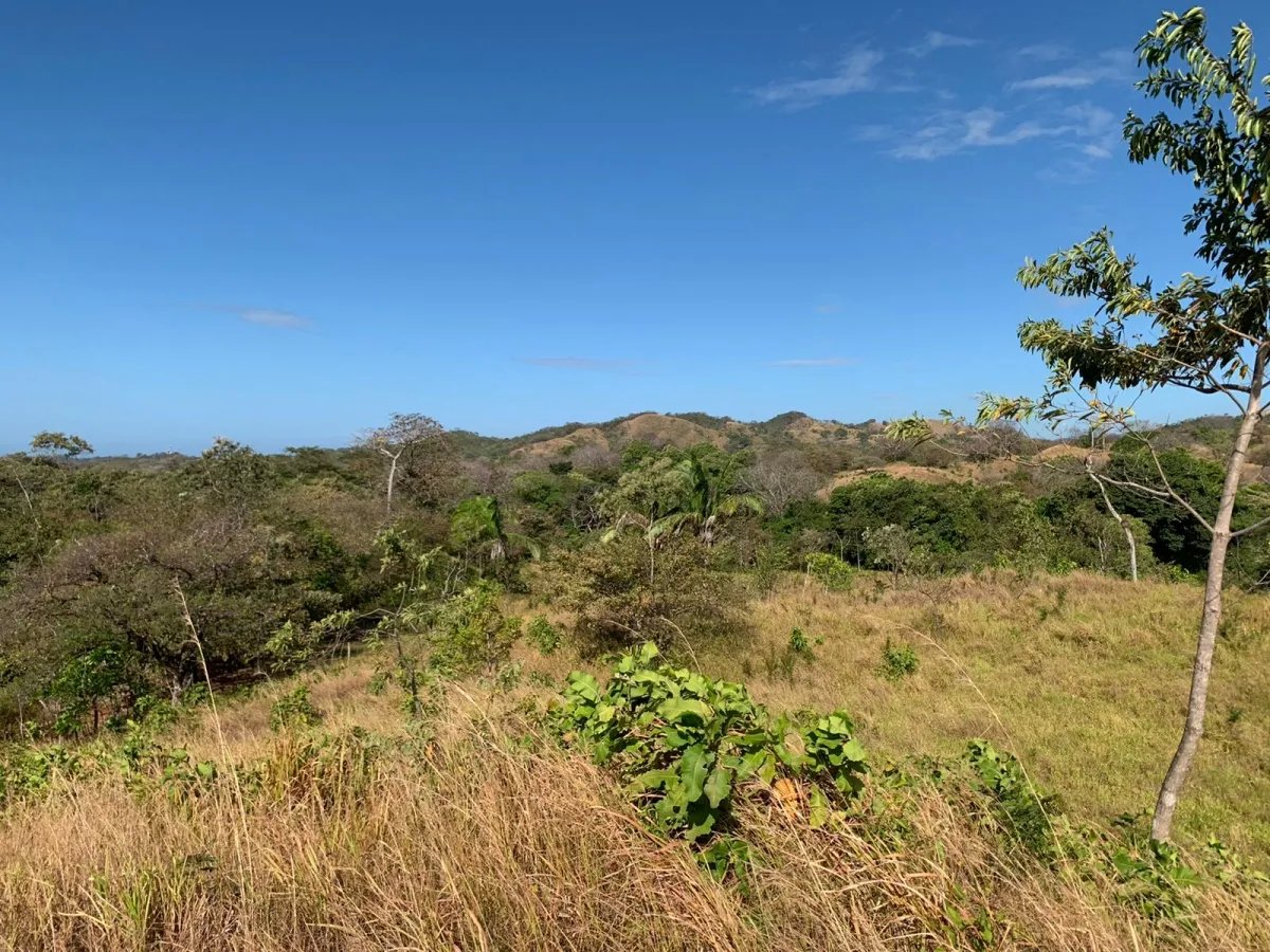 Terreno/Granja en Venta en Santa Catalina