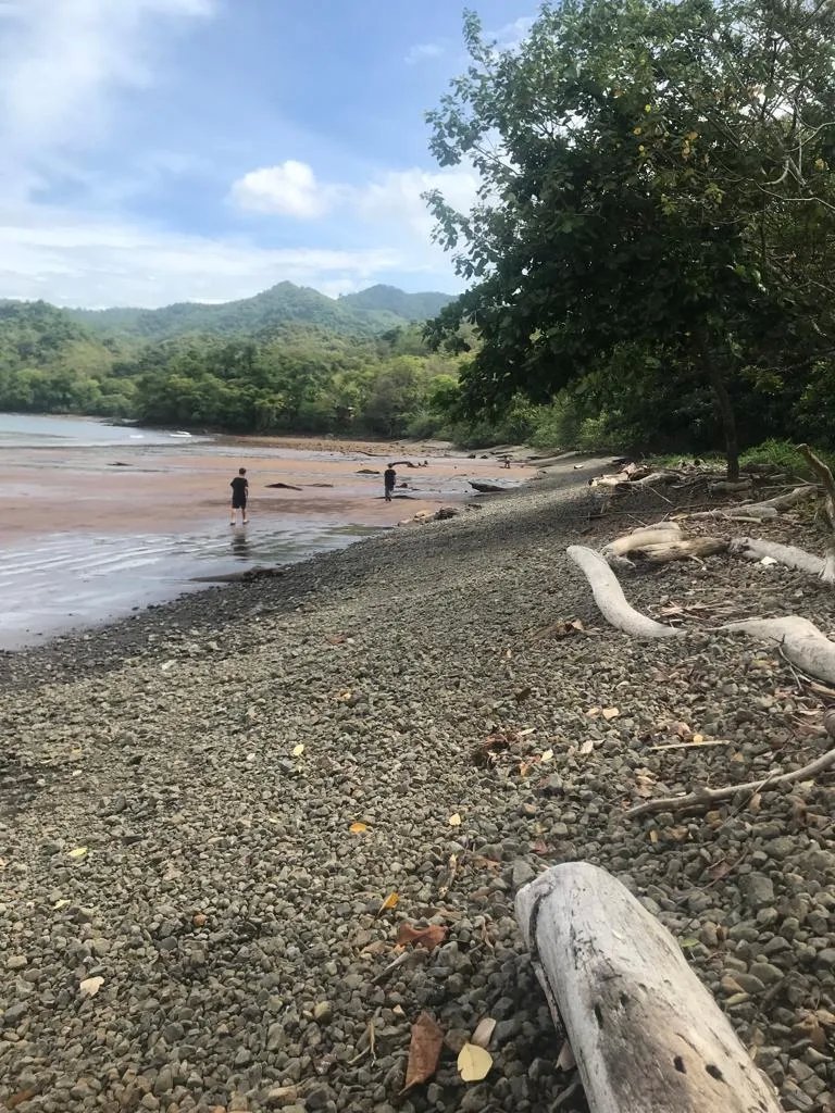 Terreno/Granja en Venta en Veraguas