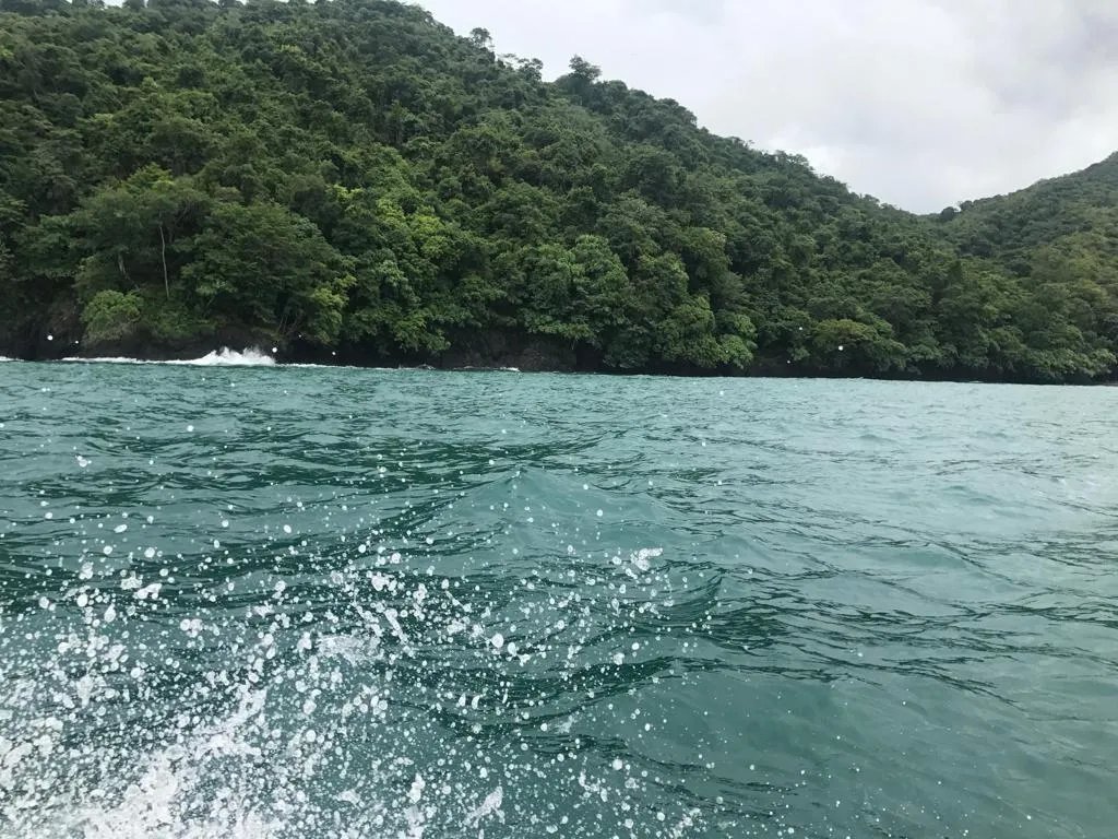 Terreno/Granja en Venta en Veraguas