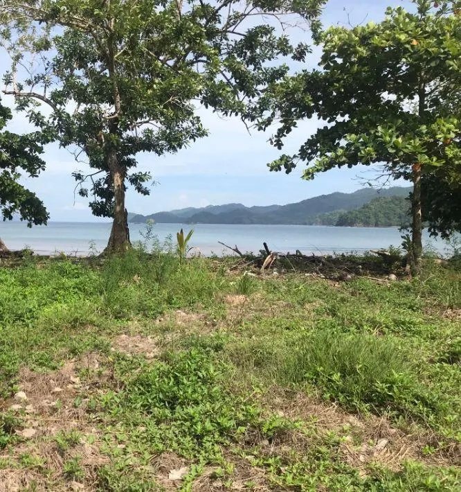 Terreno/Granja en Venta en Veraguas