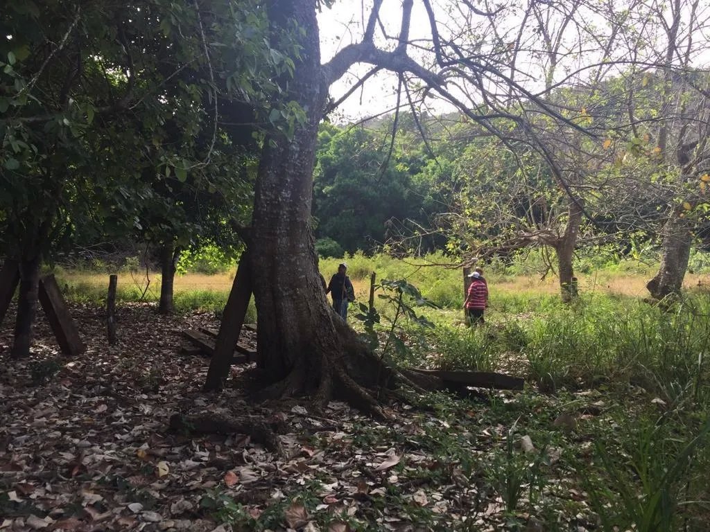 Terreno/Granja en Venta en Veraguas